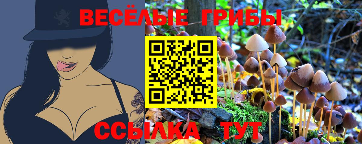 Псилоцибиновые грибы Psilocybine cubensis Крымск