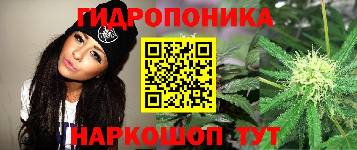 Бошки марихуана гибрид Крымск